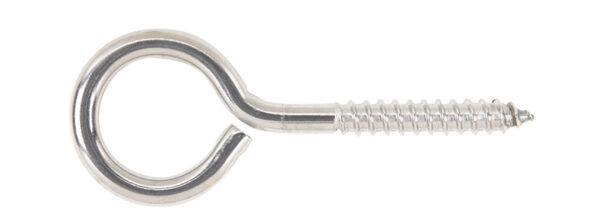 3/8" X 4-1/2" EYE LAG STAINLESS STEEL